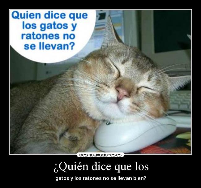 ¿Quién dice que los -