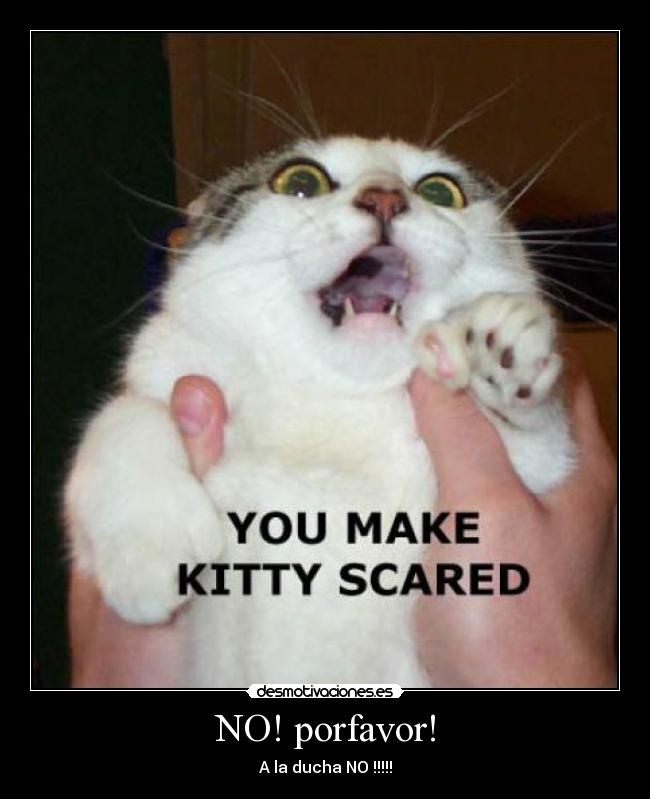 NO! porfavor! - A la ducha NO !!!!!