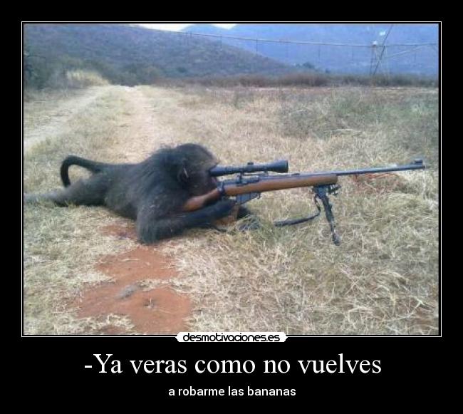 -Ya veras como no vuelves -