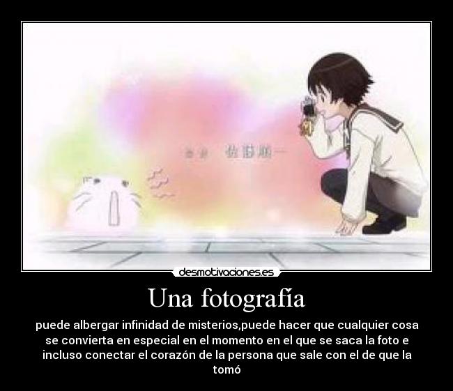 Una fotografía - 