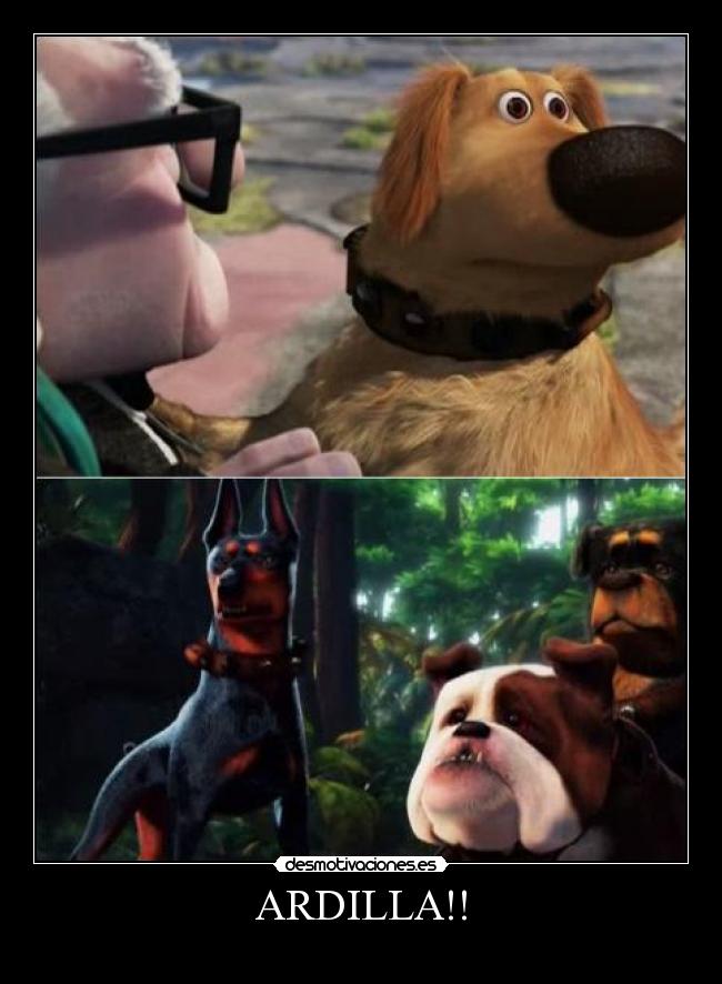 ARDILLA!! - 