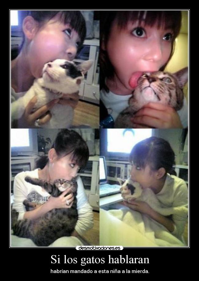 Si los gatos hablaran -