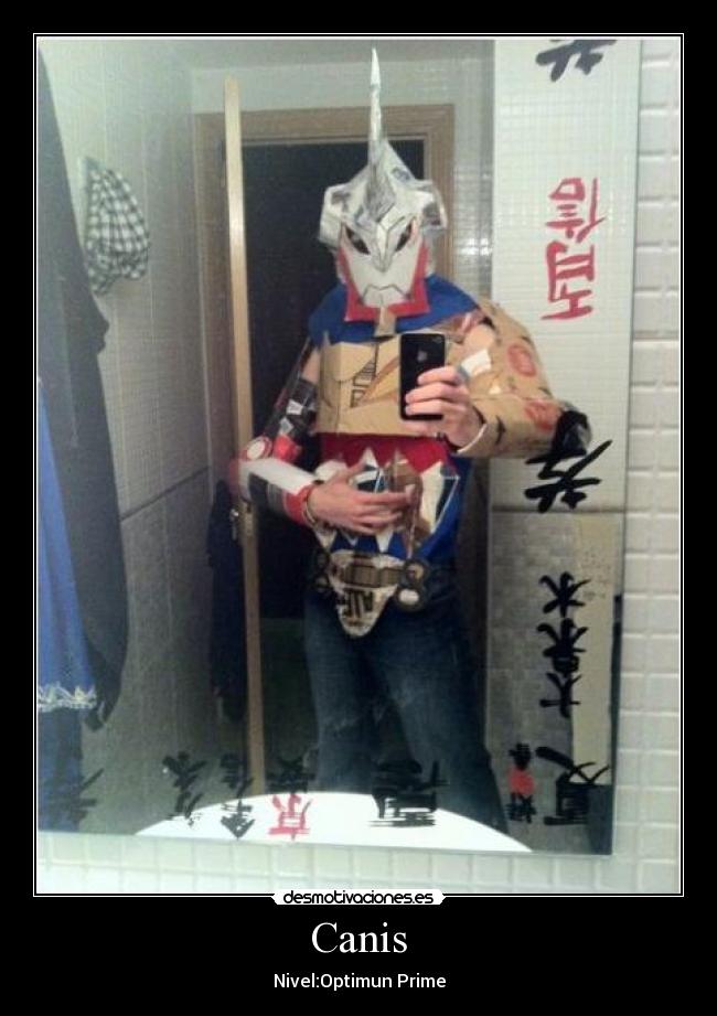 Canis - Nivel:Optimun Prime