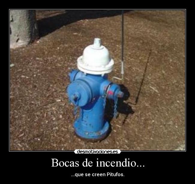 Bocas de incendio... - 