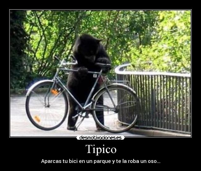 Tipico -