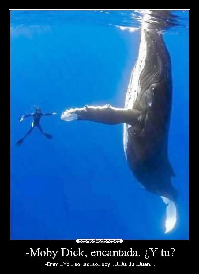 carteles moby dick desmotivaciones