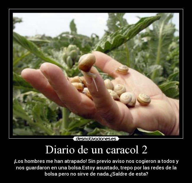 Diario de un caracol 2 - 