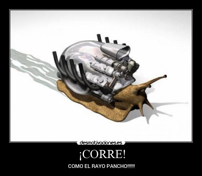 ¡CORRE! - COMO EL RAYO PANCHO!!!!!!
