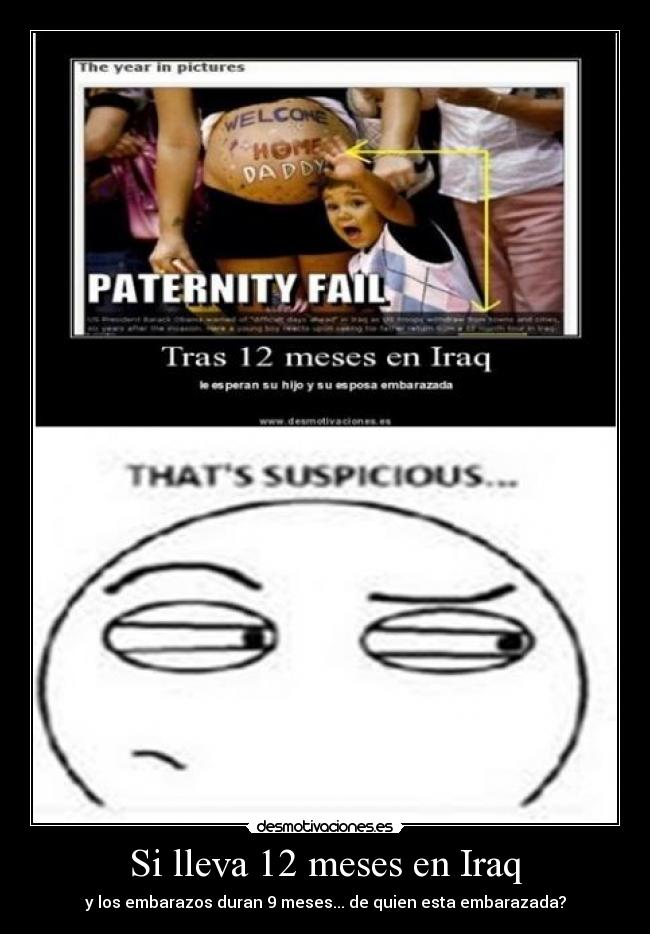 carteles pisano desmotivaciones