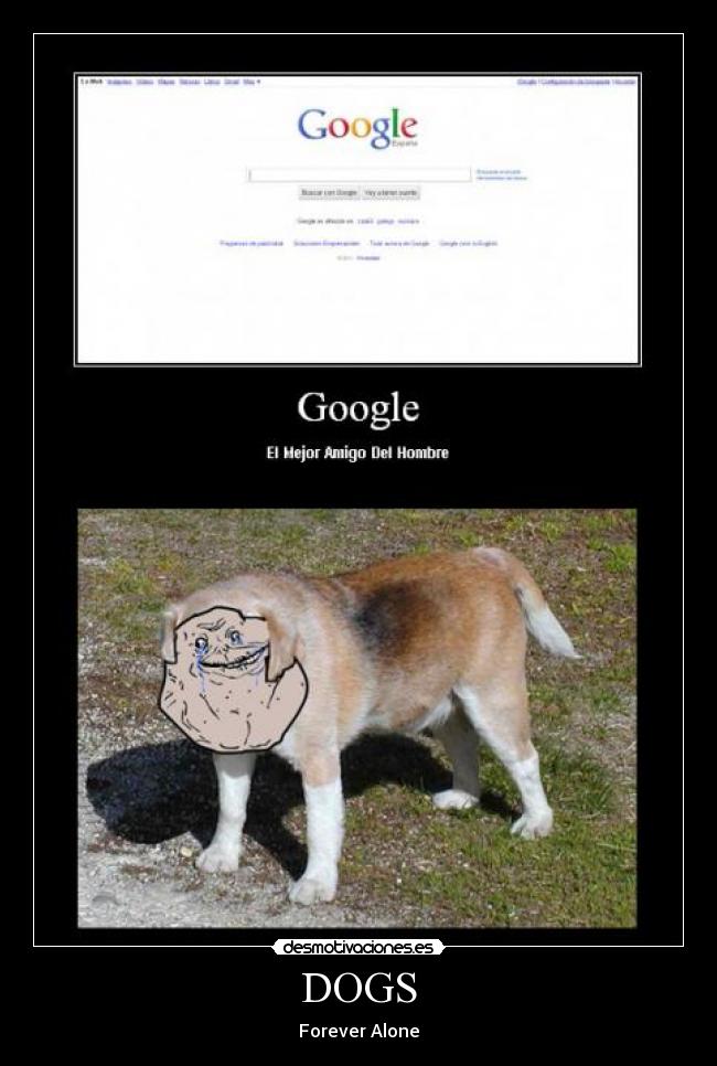 carteles perro google amigo desmotivaciones