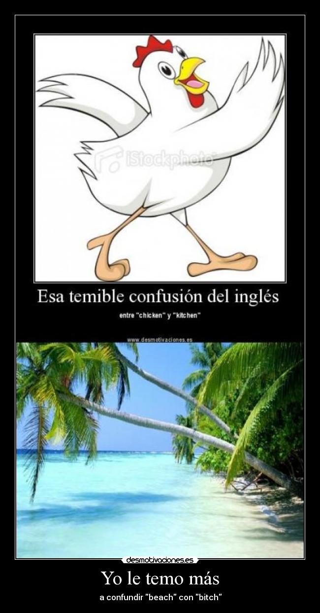 Yo le temo más - a confundir beach con bitch