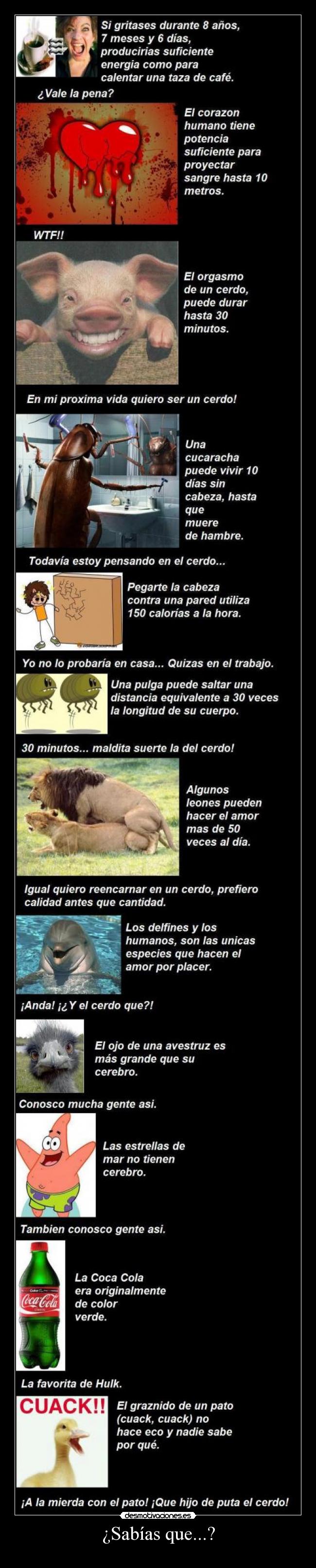 carteles asdasdasdsadasd desmotivaciones