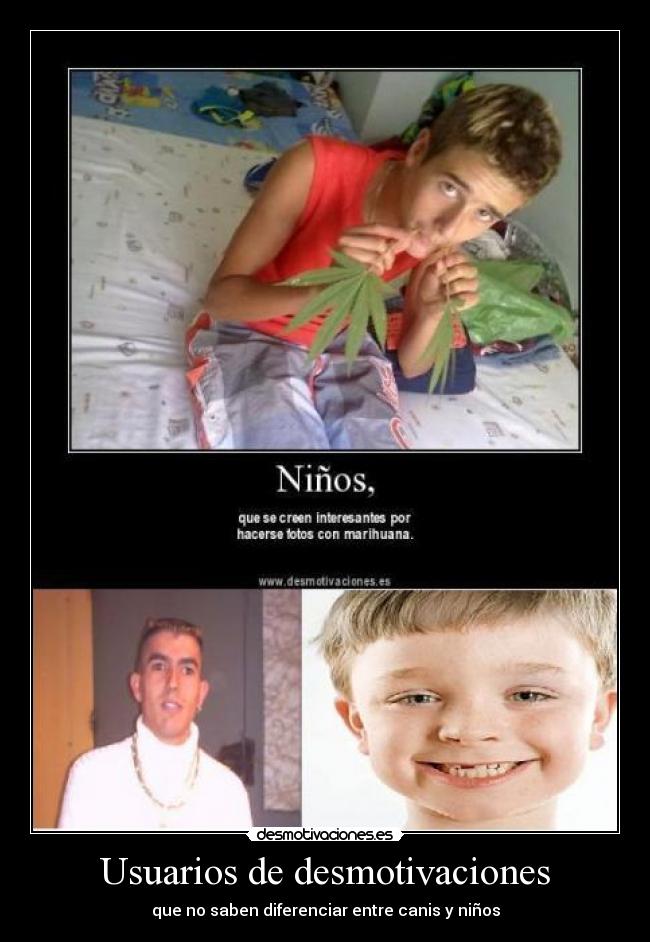 Usuarios de desmotivaciones -