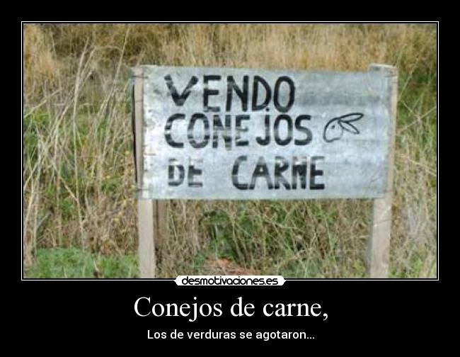 Conejos de carne, - Los de verduras se agotaron...
