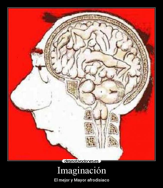 Imaginación -