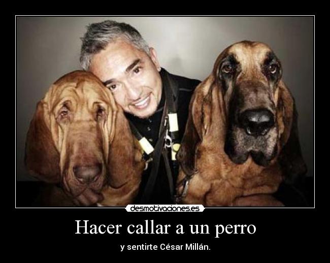 carteles lawliet desmotivaciones