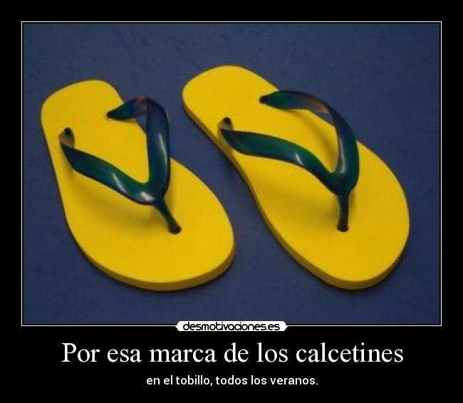 Por esa marca de los calcetines - 