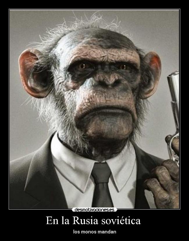 En la Rusia soviética - los monos mandan