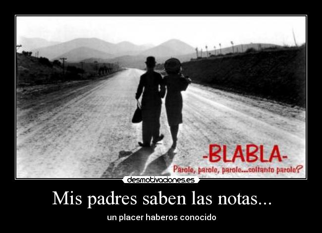 Mis padres saben las notas... - 