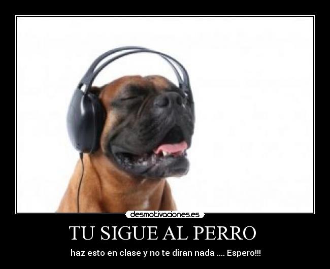 TU SIGUE AL PERRO - haz esto en clase y no te diran nada .... Espero!!!