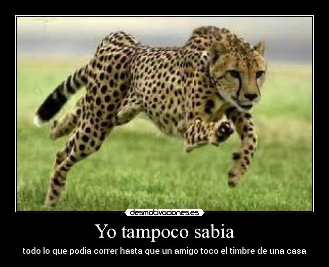 Yo tampoco sabia - todo lo que podia correr hasta que un amigo toco el timbre de una casa