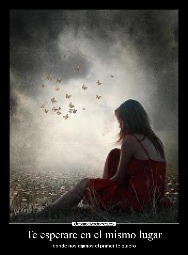 Te esperare en el mismo lugar - donde nos dijimos el primer te quiero