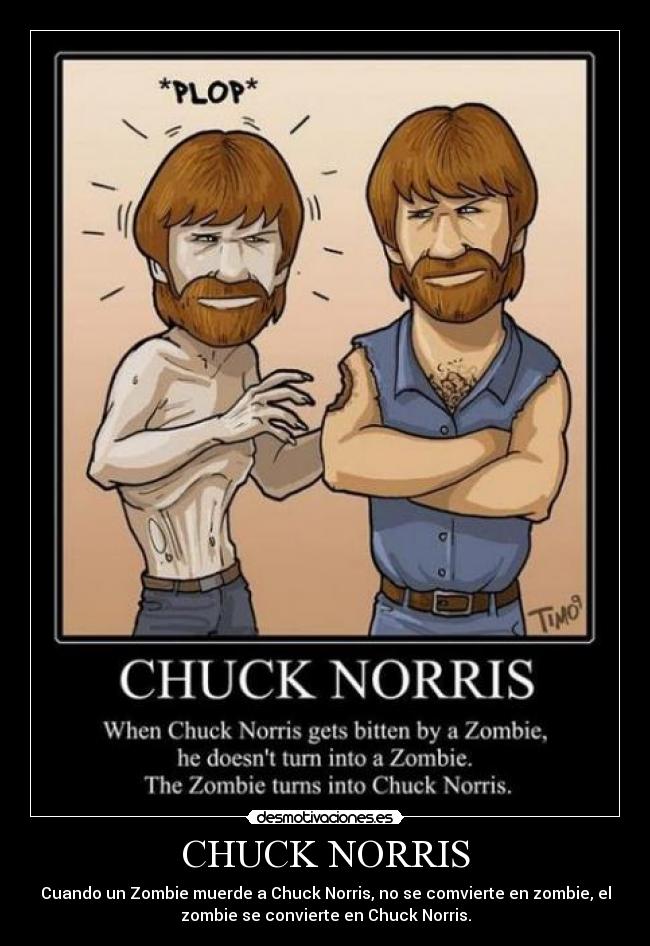 carteles chuck norris desmotivaciones