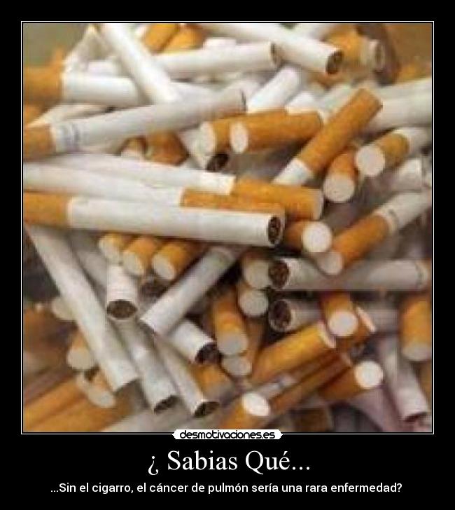 ¿ Sabias Qué... -