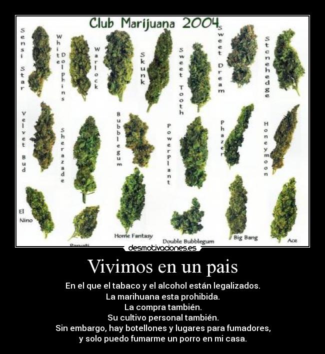 Vivimos en un pais - En el que el tabaco y el alcohol están legalizados.
La marihuana esta prohibida.
La compra también.
Su cultivo personal también.
Sin embargo, hay botellones y lugares para fumadores,
y solo puedo fumarme un porro en mi casa.