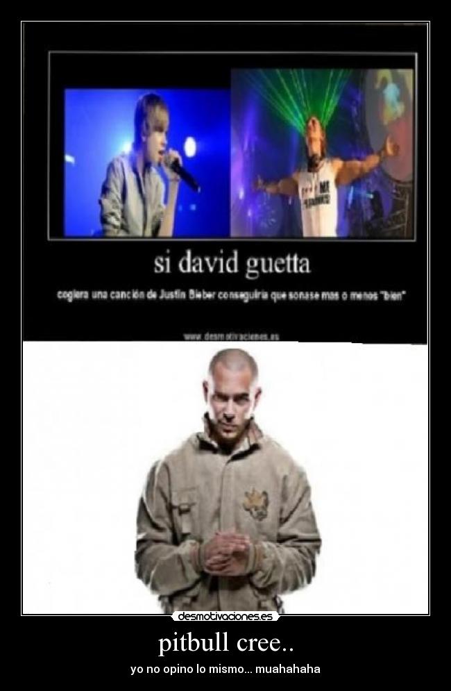 carteles pitbull cree desmotivaciones