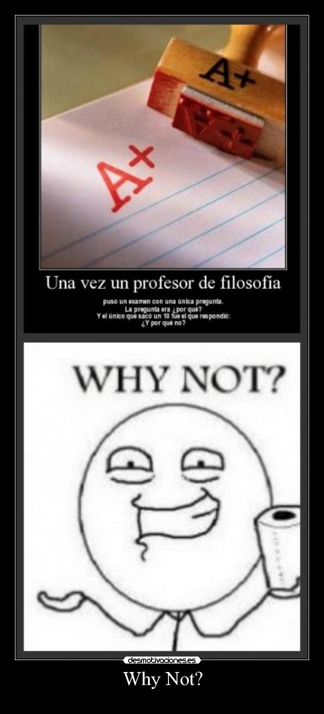 Why Not? - 