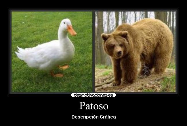 Patoso -