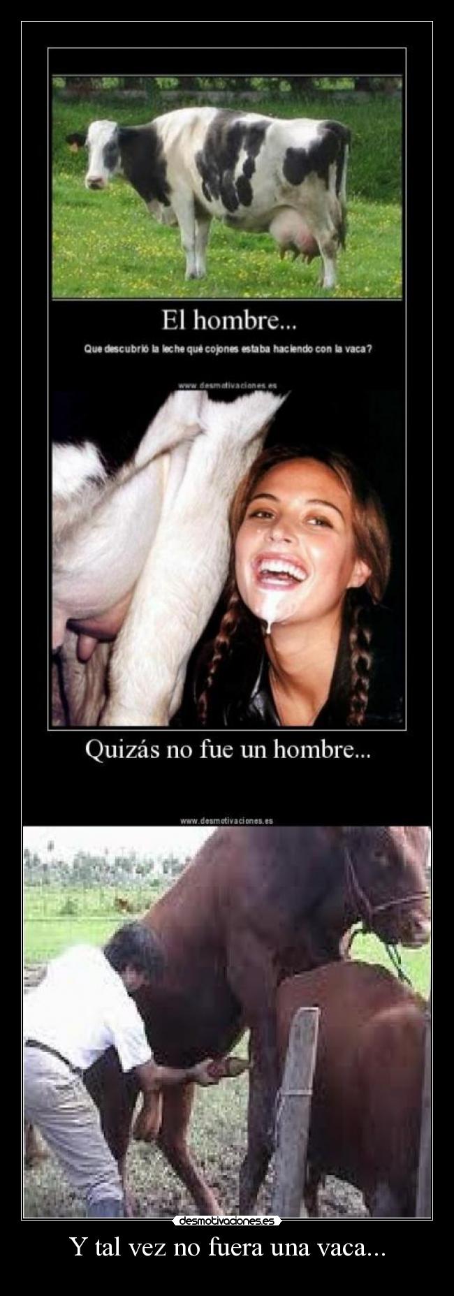 Y tal vez no fuera una vaca... -