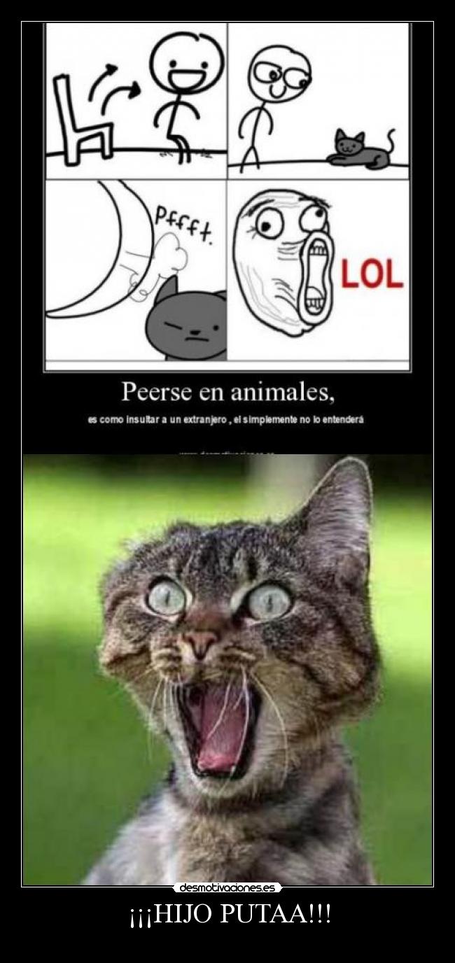 ¡¡¡HIJO PUTAA!!! -