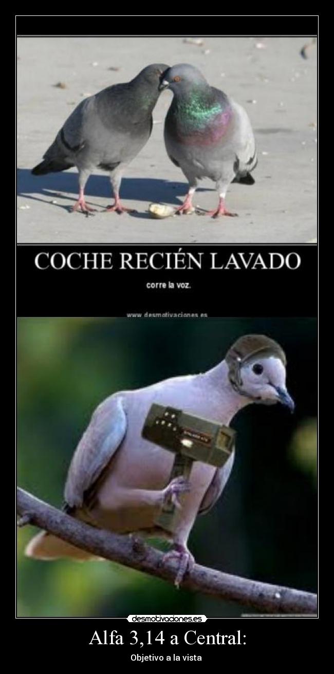 Alfa 3,14 a Central: -