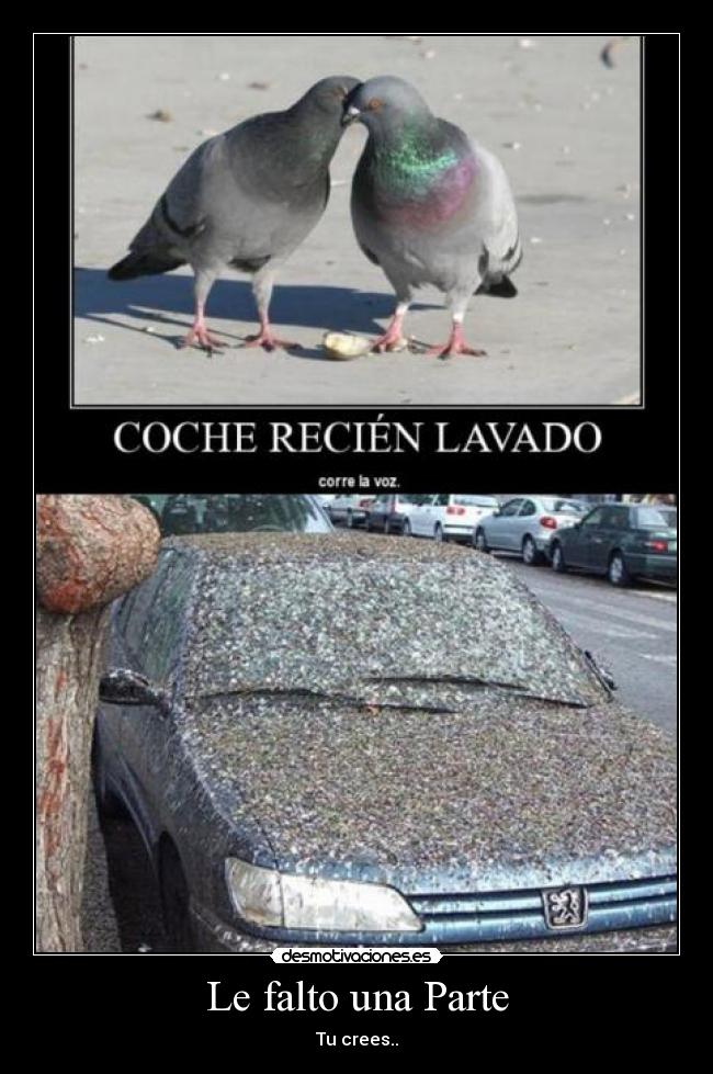 carteles theparty desmotivaciones