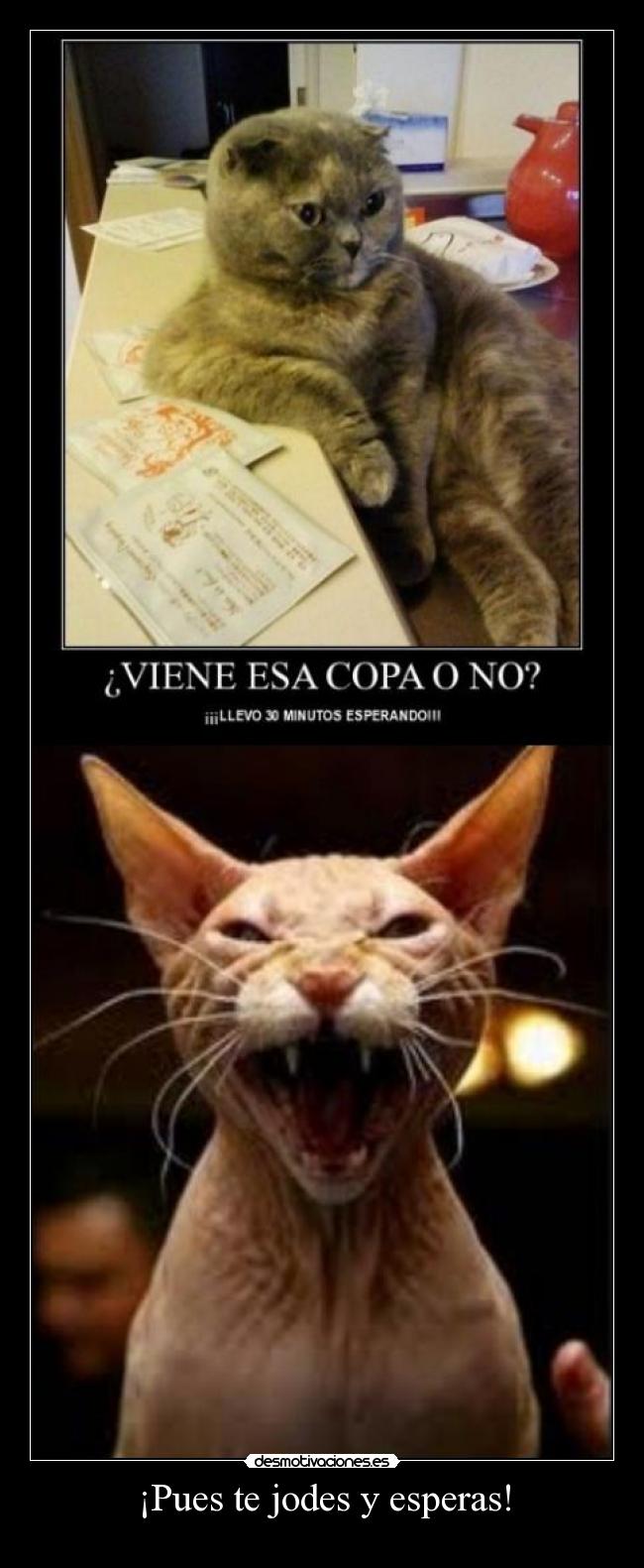 ¡Pues te jodes y esperas! -