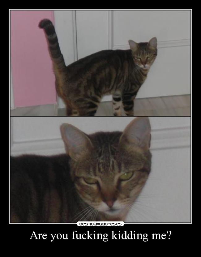 Are you fucking kidding me? -