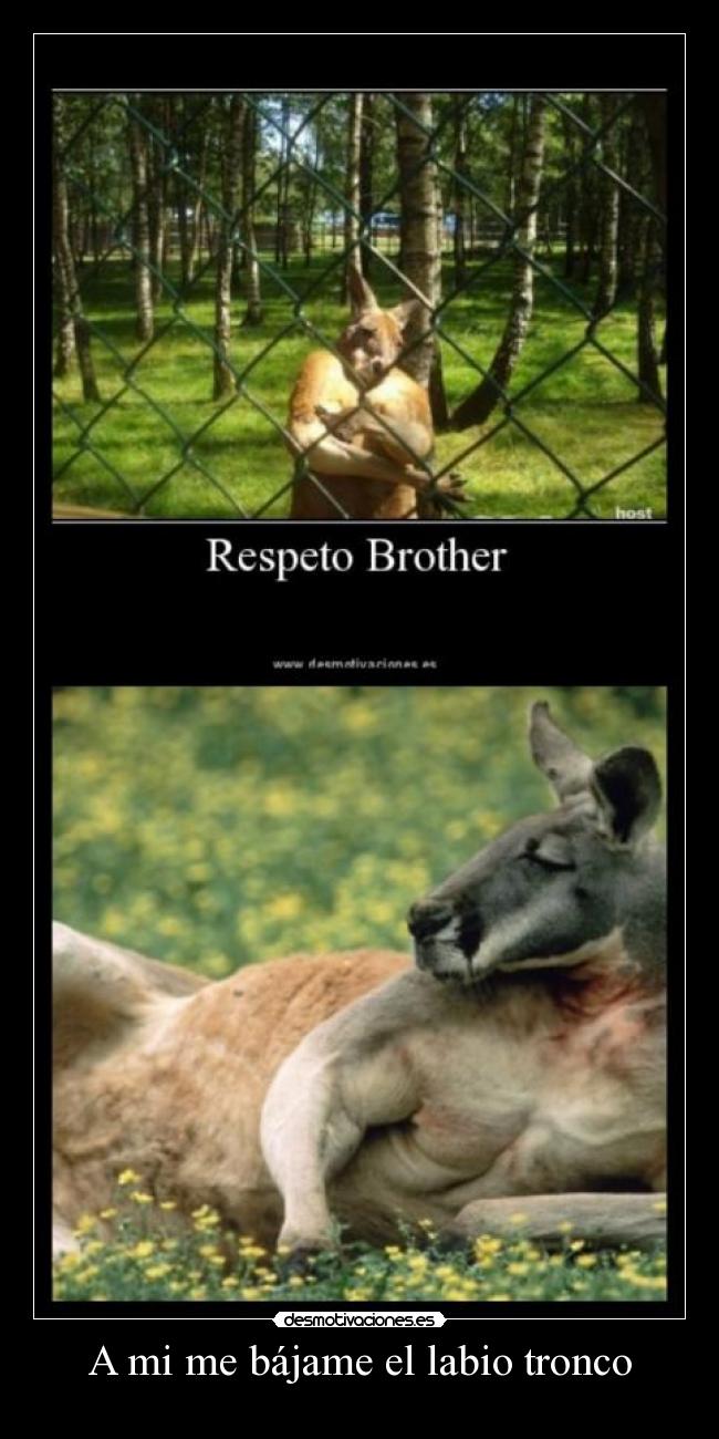 A mi me bájame el labio tronco - 