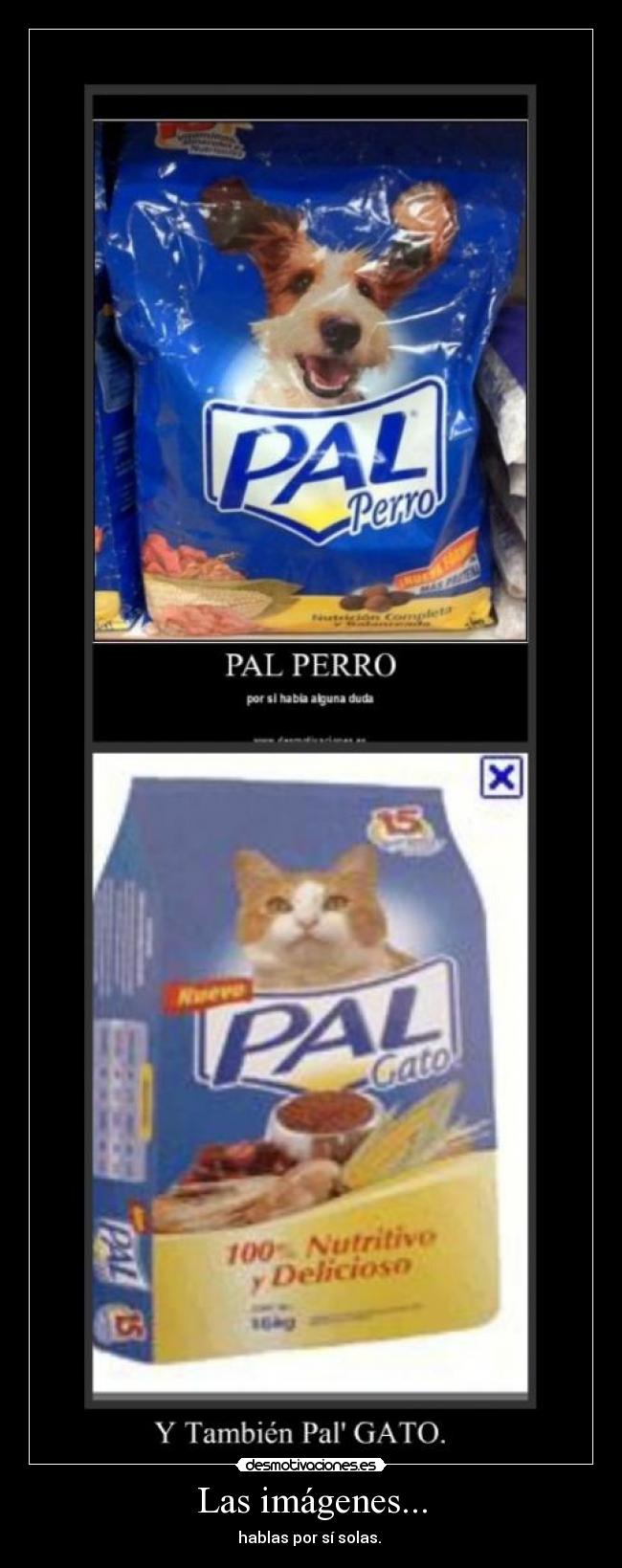 Las imágenes... - hablas por sí solas. 