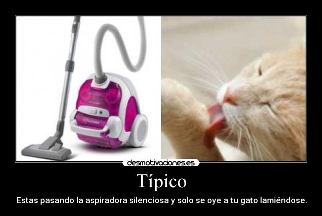 Típico -