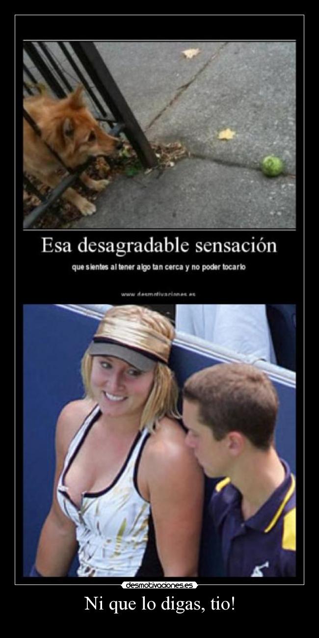 Ni que lo digas, tio! - 