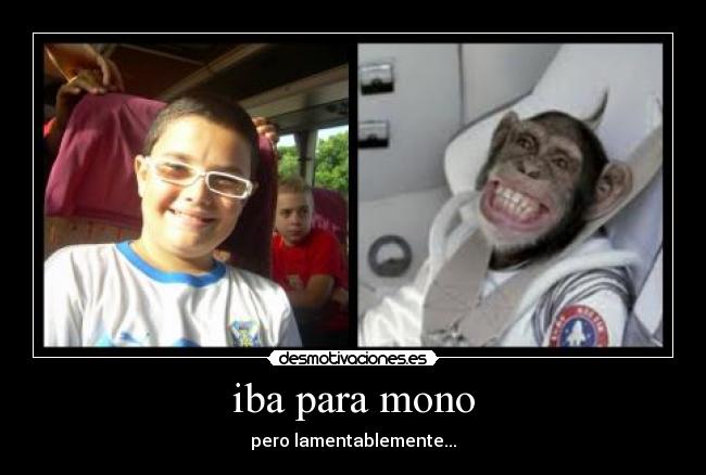 iba para mono - 