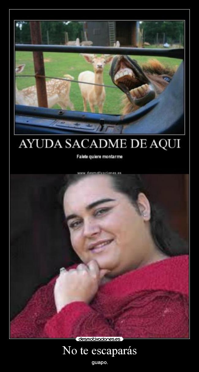 No te escaparás - 
