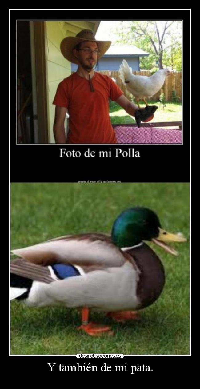 Y también de mi pata. - 