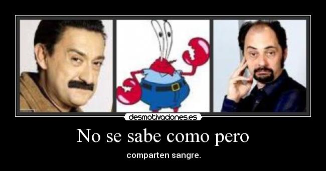 No se sabe como pero -