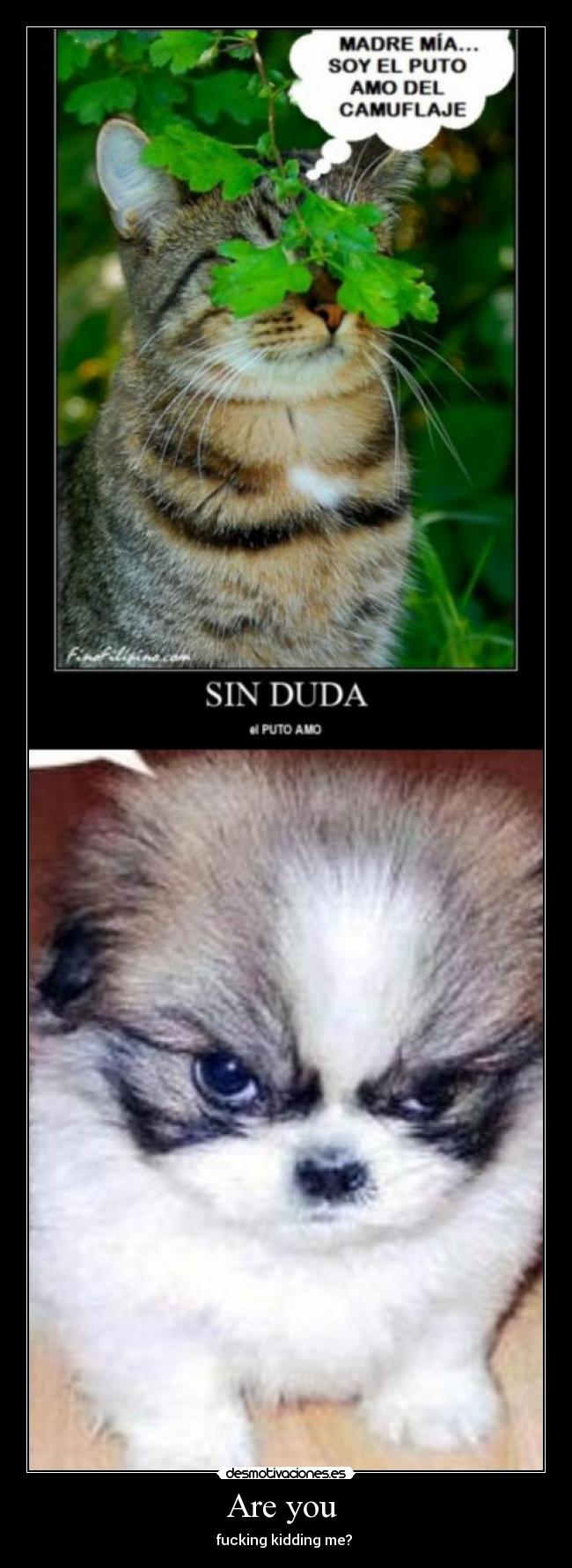 Are you - fucking kidding me?