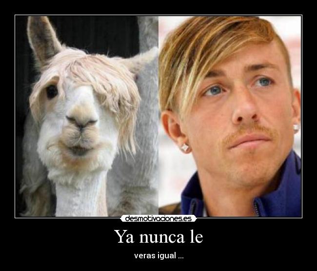Ya nunca le - veras igual ...
