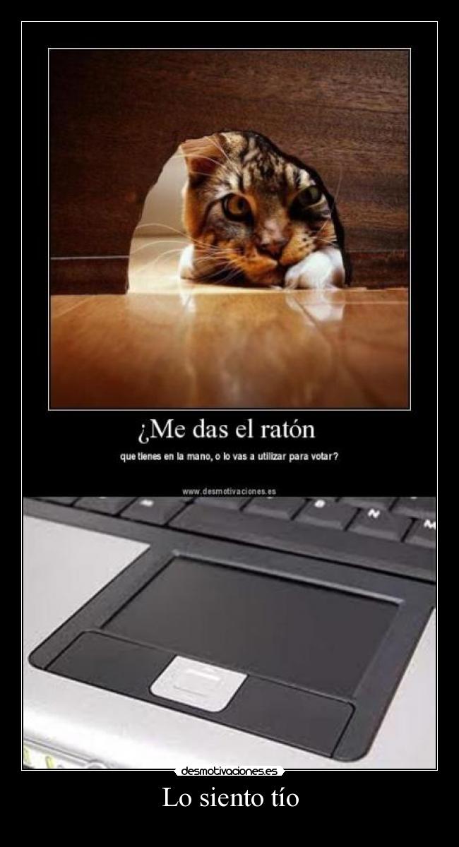 carteles feawgaw desmotivaciones