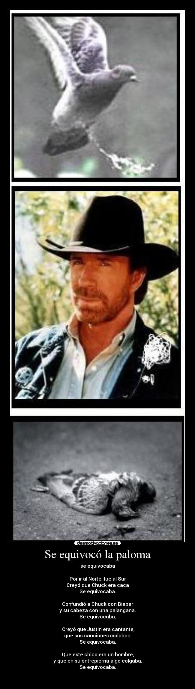 Se equivocó la paloma - se equivocaba
Por ir al Norte, fue al Sur
Creyó que Chuck era caca
Se equivocaba.
Confundió a Chuck con Bieber
y su cabeza con una palangana.
Se equivocaba.
Creyó que Justin era cantante,
que sus canciones molaban.
Se equivocaba.
Que este chico era un hombre,
y que en su entrepierna algo colgaba.
Se equivocaba.